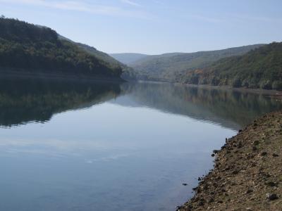 Прикрепленное изображение: IMG_0203.JPG